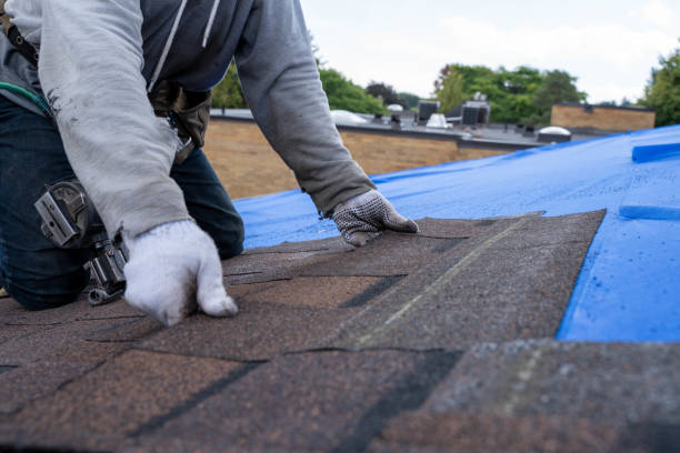 Professional Roofing Contractor in Greenwood, SC