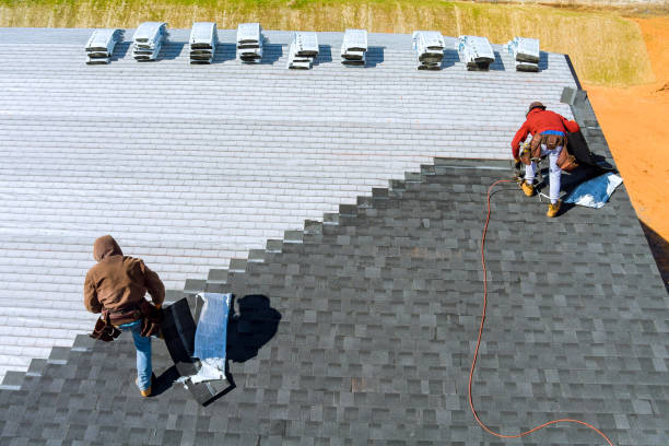 Best Roof Gutter Cleaning  in Greenwood, SC